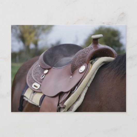 Zadel op een paard briefkaart (Voorkant)