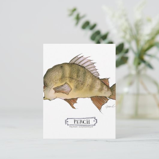 Zadelbaarsvis, tony fernandes briefkaart (Staand voorkant)