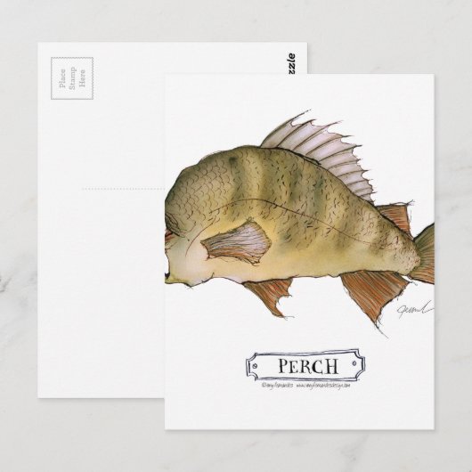 Zadelbaarsvis, tony fernandes briefkaart (Voorkant / Achterkant)