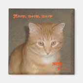 Zadelijk gezicht magneet (Voorkant)