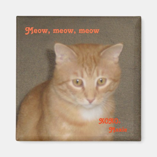 Zadelijk gezicht magneet (Voorkant)