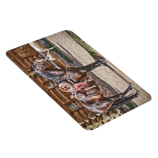 Zadelpaard Magneet (Rechterzijde)