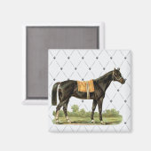  zadelpaard Magnet (Voorkant / Achterkant)