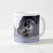 Zadelrob moeder met jong grote koffiekop (Voorkant rechts)