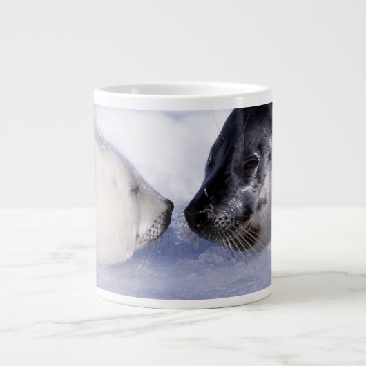 Zadelrob moeder met jong grote koffiekop (Voorkant)