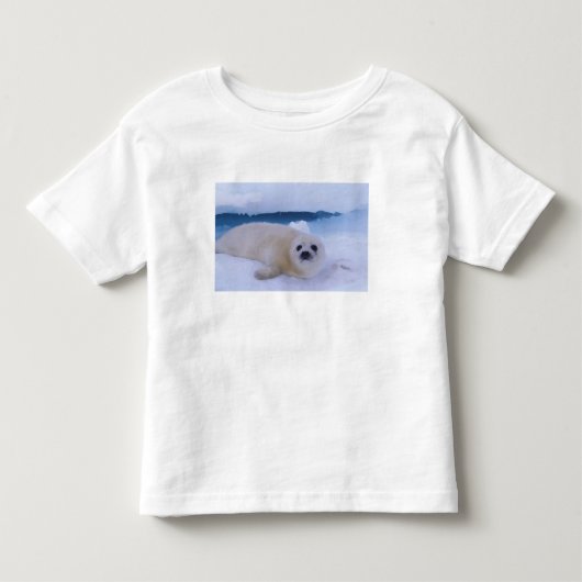 Zadelrob Noord-Amerika, Canada, Quebec Kinder Shirts (Voorkant)