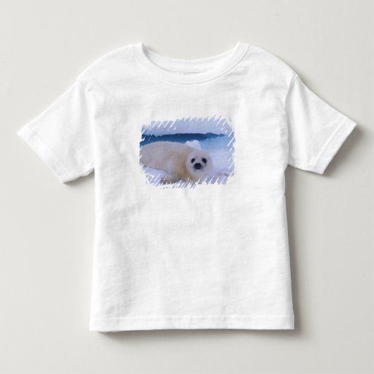 Zadelrob Noord-Amerika, Canada, Quebec Kinder Shirts (Voorkant)