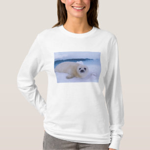 Zadelrob Noord-Amerika, Canada, Quebec T-shirt