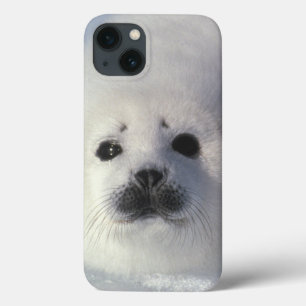 Zadelrob Phoca groenlandica) Een week oude zadelro Case-Mate iPhone Case