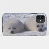 Zadelrob (Phoca groenlandica) Zadelrobjong Case-Mate iPhone Case (Achterkant (horizontaal))