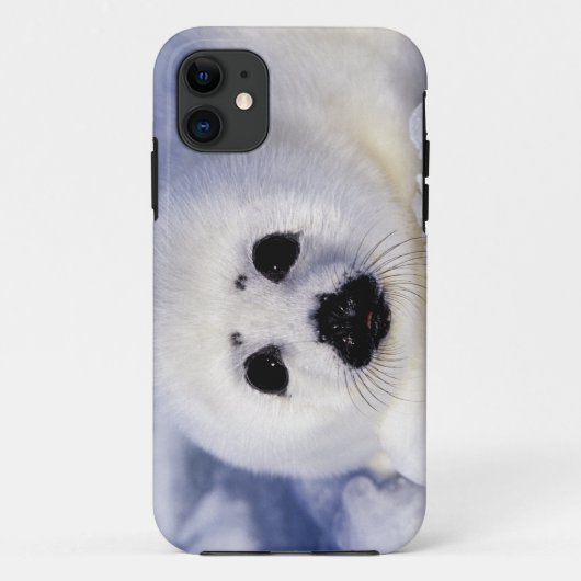 Zadelrobbenjong ijs Golf van St. Lawrence, Case-Mate iPhone Case (Achterkant)
