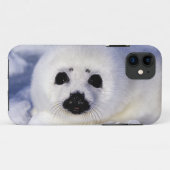 Zadelrobbenjong ijs Golf van St. Lawrence, Case-Mate iPhone Case (Achterkant (horizontaal))