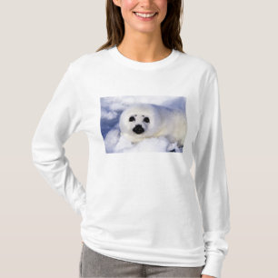 Zadelrobbenjong ijs Golf van St. Lawrence, T-shirt