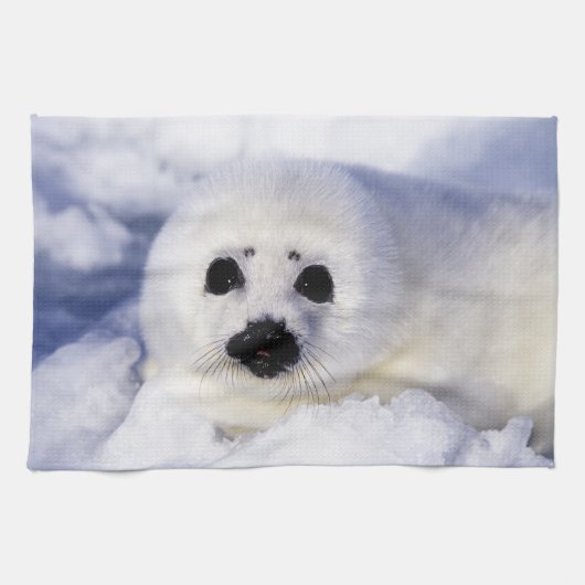Zadelrobbenjong ijs Golf van St. Lawrence, Theedoek (Horizontaal)