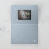 Zaden 4 morgen kaart (Binnen)