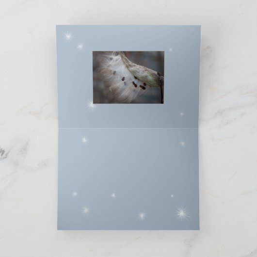 Zaden 4 morgen kaart (Binnen)