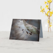 Zaden 4 morgen kaart (Gele Bloem)