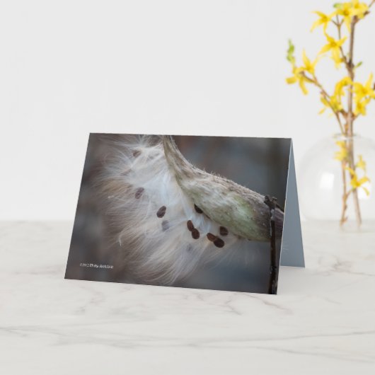 Zaden 4 morgen kaart (Gele Bloem)