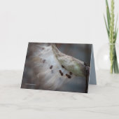 Zaden 4 morgen kaart (Voorkant)