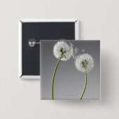 Zaden die twee andelions verbinden vierkante button 5,1 cm (Voorkant /achterkant)