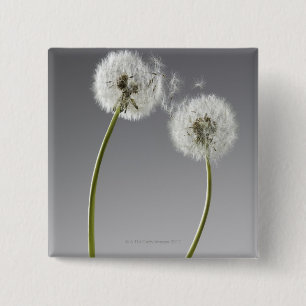 Zaden die twee andelions verbinden vierkante button 5,1 cm