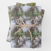 Zaden en zijderoute, van milroos | Natuurlijke Inpakpapier Vel (In situ)