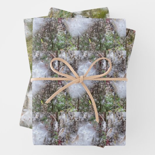 Zaden en zijderoute, van milroos | Natuurlijke Inpakpapier Vel (In situ)