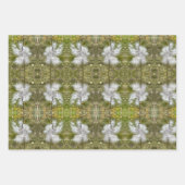 Zaden en zijderoute, van milroos | Natuurlijke | Inpakpapier Vel (Voorkant 3)