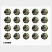Zaden in tuin raaf stickers (Vel)