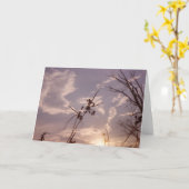 Zaden in Vroege Avond Kaart (Gele Bloem)