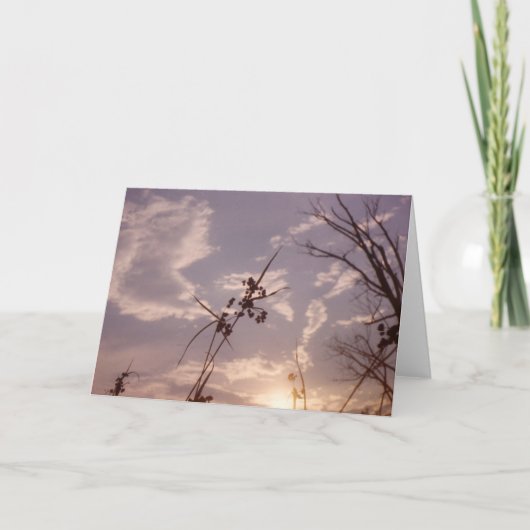 Zaden in Vroege Avond Kaart (Voorkant)
