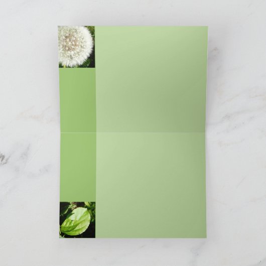 Zaden Klaar te vliegen Kaart (Binnen)