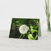 Zaden Klaar te vliegen Kaart (Voorkant)