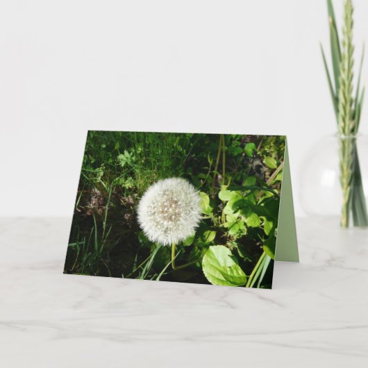 Zaden Klaar te vliegen Kaart (Voorkant)