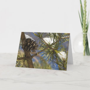 Zaden van Altijdgroen Feestdagen Kaart