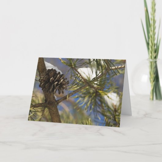 Zaden van Altijdgroen Feestdagen Kaart (Voorkant)