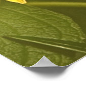 zaden van het vredelievende versum James 3:17-18 Poster (Hoek)