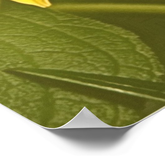 zaden van het vredelievende versum James 3:17-18 Poster (Hoek)