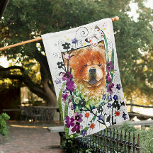 ZADEN VAN VERANDERING rode show