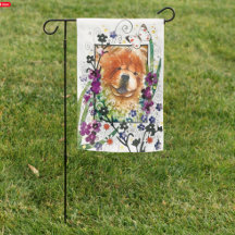 ZADEN VAN VERANDERING rode show