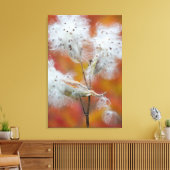 Zaden van zijdeplant in de herfst, Canada Canvas Afdruk (Insitu (Woonkamer))