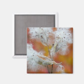 Zaden van zijdeplant in de herfst, Canada Magneet (Voorkant / Achterkant)
