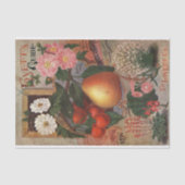  zadencatalogus Lovett's gids voorjaar 1896 Tissuepapier (Voorkant)