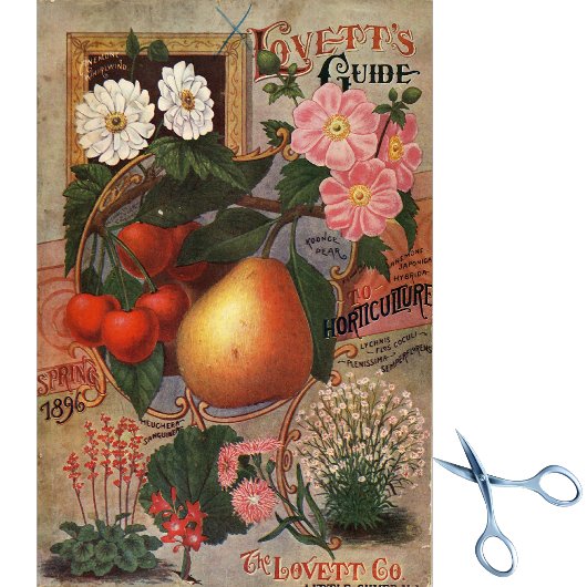 zadencatalogus Lovett's gids voorjaar 1896 Tissuepapier