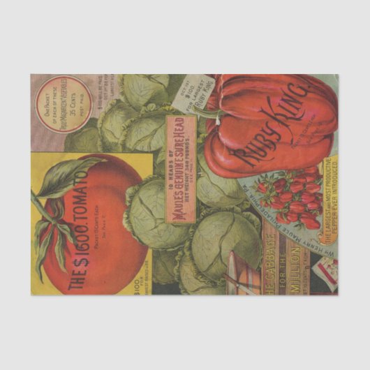  Zadencatalogus Maule's Ruby King Tissuepapier (Voorkant)