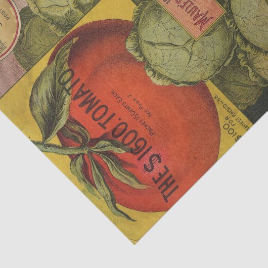 Zadencatalogus Maule's Ruby King Tissuepapier (Detail)