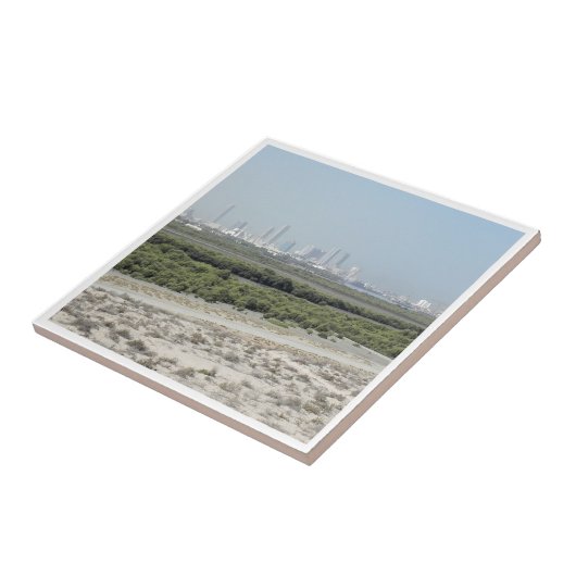 zAE009 UMM AL-QAYWAY panorama, Tegeltje (Zijkant)