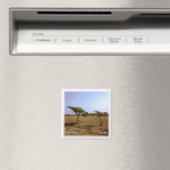 zAE033 FUJAIRAH natuur, VAE, Azië, Fridge Magneet (Insitu (Vaatwasser))