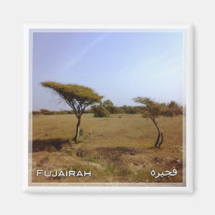 zAE033 FUJAIRAH natuur, VAE, Azië, Fridge Magneet