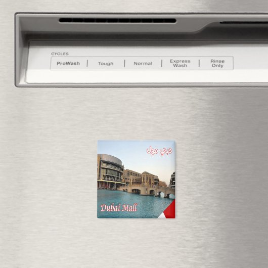 zAE068 DUBAI, winkelcentrum op de grootste schaal, Magneet (Insitu (Vaatwasser))